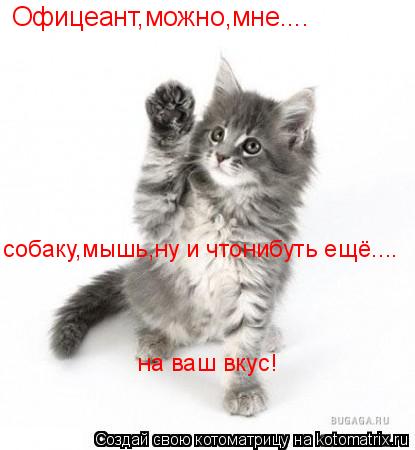 Офицеант,можно,мне.... собаку,мышь,ну и чтонибуть ещё.... на ваш вкус!... Котоматрица: Офицеант,можно,мне.... собаку,мышь,ну и чтонибуть ещё.... на ваш вкус!