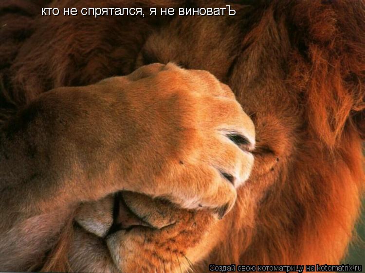 кто не спрятался, я не виноватЪ... Котоматрица: кто не спрятался, я не виноватЪ