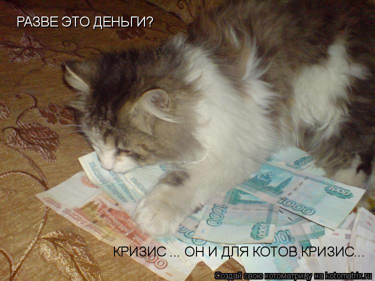 РАЗВЕ ЭТО ДЕНЬГИ? КРИЗИС ... ОН И ДЛЯ КОТОВ КРИЗИС...... Котоматрица: РАЗВЕ ЭТО ДЕНЬГИ? КРИЗИС ... ОН И ДЛЯ КОТОВ КРИЗИС...