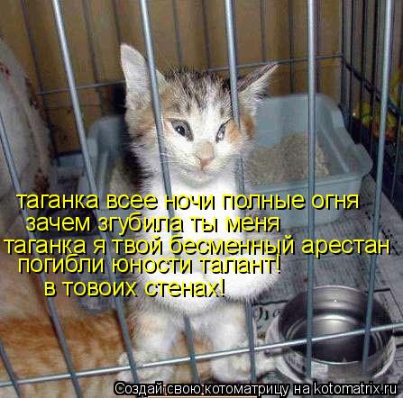 таганка всее ночи полные огня зачем згубила ты меня таганка я твой бесменный арестан погибли юности т... Котоматрица: таганка всее ночи полные огня зачем згубила ты меня таганка я твой бесменный арестан погибли юности талант! в товоих стенах!