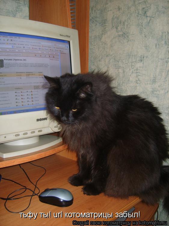 тьфу ты! url котоматрицы забыл!... Котоматрица: тьфу ты! url котоматрицы забыл!