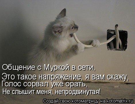 Общение с Муркой в сети, Это такое напряжение, я вам скажу, Голос сорвал уже орать, Не слышит меня,... Котоматрица: Общение с Муркой в сети, Это такое напряжение, я вам скажу, Голос сорвал уже орать, Не слышит меня, непродвинутая!