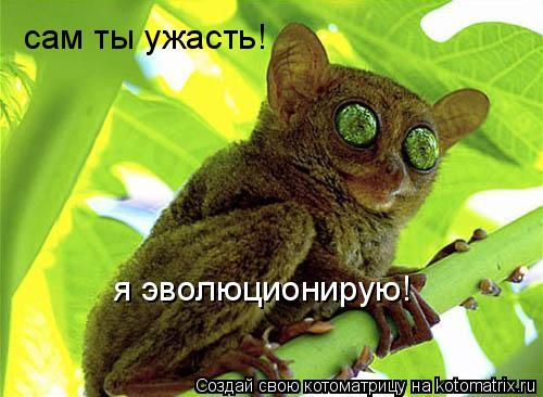 сам ты ужасть! я эволюционирую!... Котоматрица: сам ты ужасть! я эволюционирую!