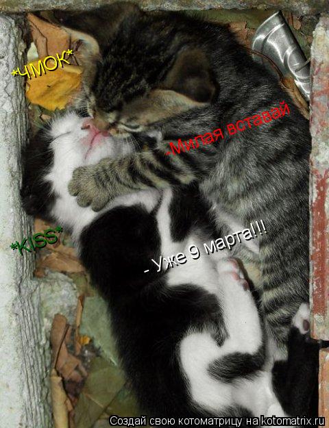 *ЧМОК* *KISS* -Милая вставай - Уже 9 марта!!!... Котоматрица: *ЧМОК* *KISS* -Милая вставай - Уже 9 марта!!!