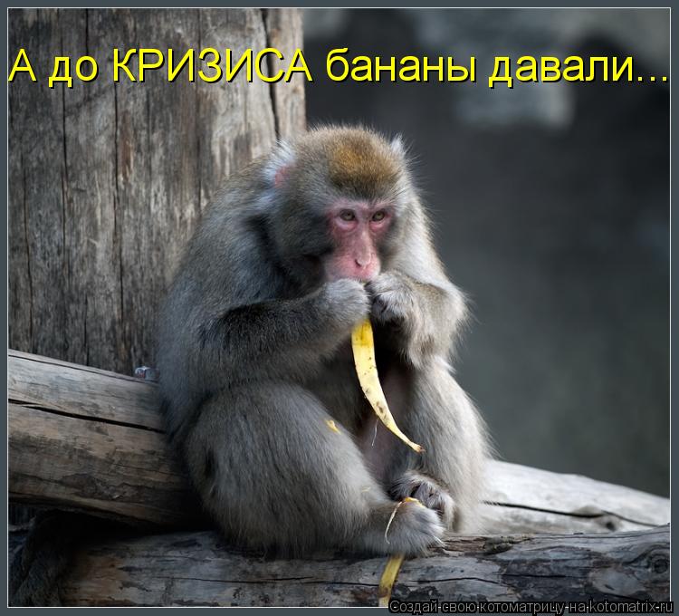 А до КРИЗИСА бананы давали...... Котоматрица: А до КРИЗИСА бананы давали...