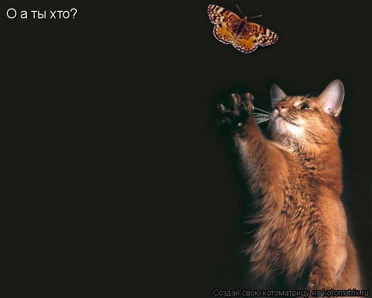 О а ты хто?... Котоматрица: О а ты хто?