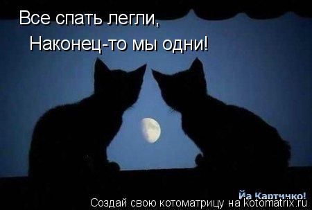Все спать легли, Наконец-то мы одни!... Котоматрица: Все спать легли, Наконец-то мы одни!
