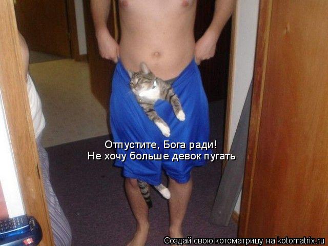 Отпустите, Бога ради! Не хочу больше девок пугать... Котоматрица: Отпустите, Бога ради! Не хочу больше девок пугать
