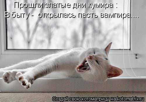Прошли златые дни кумира : В быту - открылась пасть вампира....... Котоматрица: Прошли златые дни кумира : В быту - открылась пасть вампира....