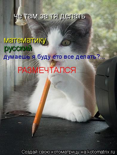 че там за тя делать математику русский думаешь я буду ето все делать?... РАЗМЕЧТАЛСЯ... Котоматрица: че там за тя делать математику русский думаешь я буду ето все делать?... РАЗМЕЧТАЛСЯ
