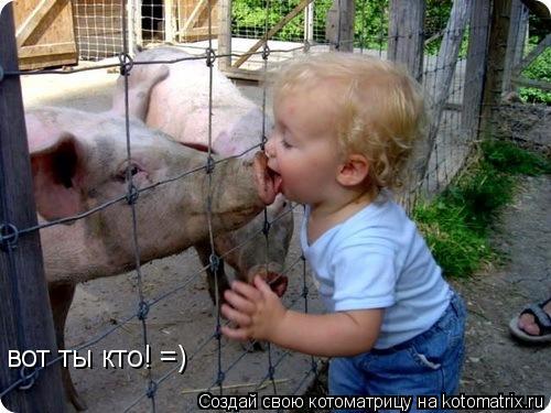 вот ты кто! =)... Котоматрица: вот ты кто! =)