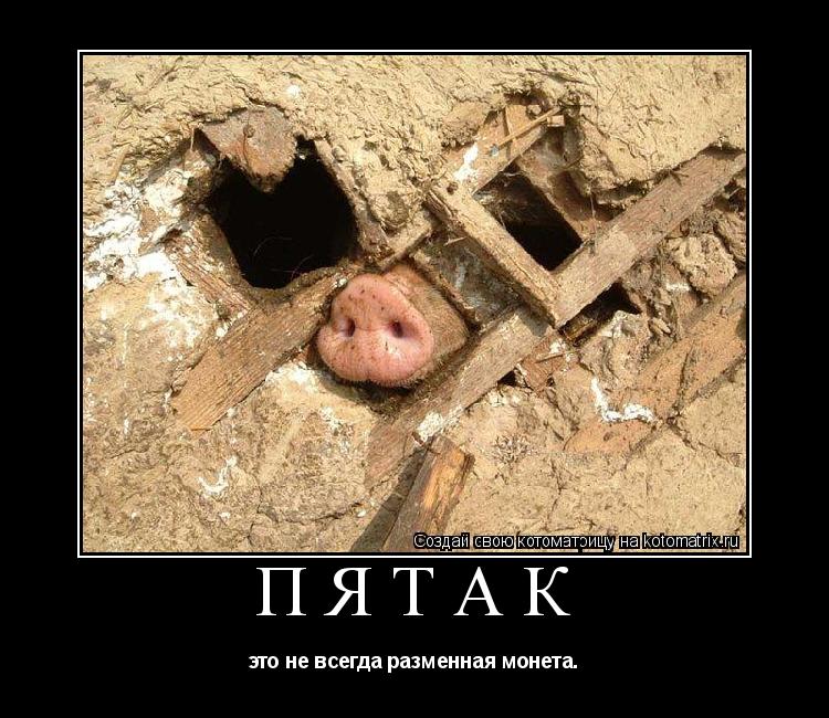 ПЯТАК это не всегда разменная монета.... Котоматрица: ПЯТАК это не всегда разменная монета.