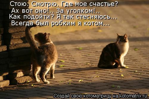 Стою. Смотрю. Где мое счастье? Ах вот оно!.. За уголком!.. Как подойти? Я так стесняюсь... Всегда был... Котоматрица: Стою. Смотрю. Где мое счастье? Ах вот оно!.. За уголком!.. Как подойти? Я так стесняюсь... Всегда был робким я котом...