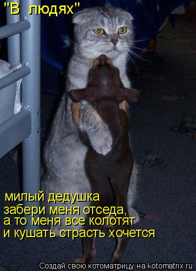 "В людях" милый дедушка забери меня отседа, а то меня все колотят и кушать страсть хочется... Котоматрица: "В людях" милый дедушка забери меня отседа, а то меня все колотят и кушать страсть хочется