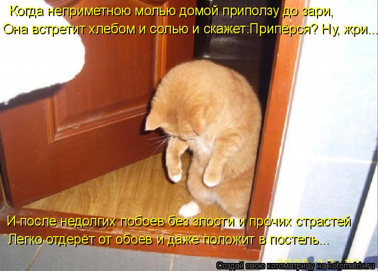 Когда неприметною молью домой приползу до зари, И после недолгих побоев без злости и прочих страстей ... Котоматрица: Когда неприметною молью домой приползу до зари, И после недолгих побоев без злости и прочих страстей Легко отдерёт от обоев и даже положит