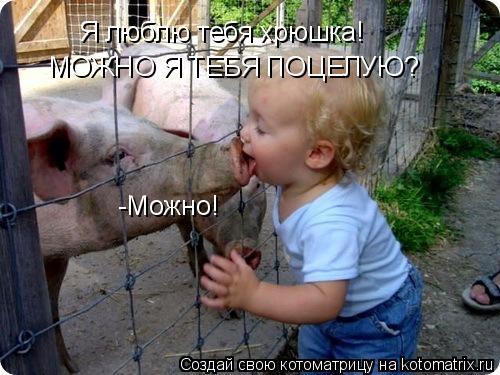 Я люблю тебя хрюшка! МОЖНО Я ТЕБЯ ПОЦЕЛУЮ? -Можно!... Котоматрица: Я люблю тебя хрюшка! МОЖНО Я ТЕБЯ ПОЦЕЛУЮ? -Можно!