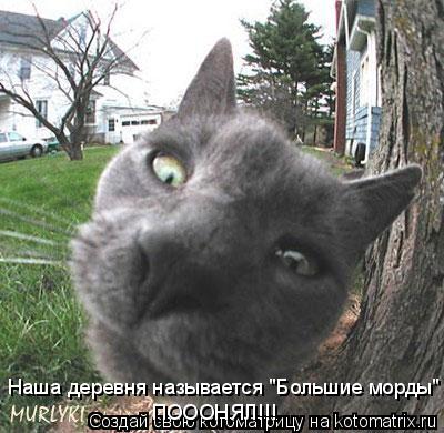 Наша деревня называется "Большие морды" ПОООНЯЛ!!!... Котоматрица: Наша деревня называется "Большие морды" ПОООНЯЛ!!!