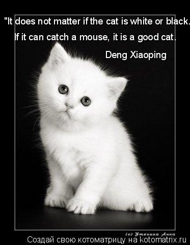 "It does not matter if the cat is white or black. If it can catch a mouse, it is a good cat. Deng X... Котоматрица: "It does not matter if the cat is white or black. If it can catch a mouse, it is a good cat. Deng Xiaoping