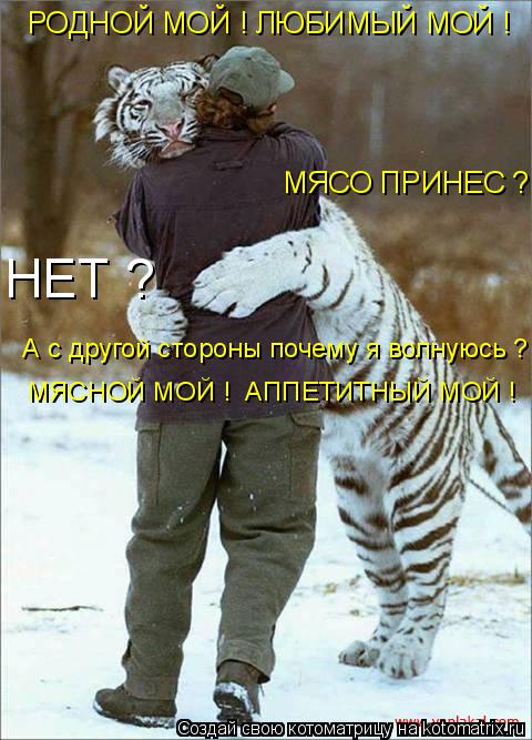 А с другой стороны почему я волнуюсь ? МЯСО ПРИНЕС ? НЕТ ? РОДНОЙ МОЙ ! ЛЮБИМЫЙ МОЙ ! МЯСНОЙ МОЙ ! ... Котоматрица: А с другой стороны почему я волнуюсь ? МЯСО ПРИНЕС ? НЕТ ? РОДНОЙ МОЙ ! ЛЮБИМЫЙ МОЙ ! МЯСНОЙ МОЙ ! АППЕТИТНЫЙ МОЙ !