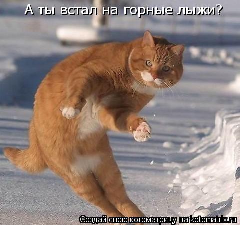А ты встал на горные лыжи?... Котоматрица: А ты встал на горные лыжи?