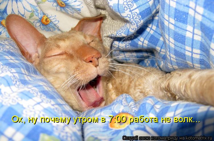 Ох, ну почему утром в 7:00 работа не волк...... Котоматрица: Ох, ну почему утром в 7:00 работа не волк...