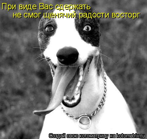 При виде Вас сдержать не смог щенячий радости восторг... Котоматрица: При виде Вас сдержать не смог щенячий радости восторг