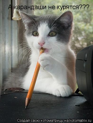 А карандаши не курятся???... Котоматрица: А карандаши не курятся???