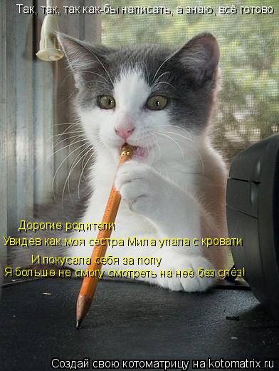 Котоматрица: Так, так, так как-бы написать, а знаю, всё готово Дорогие родители   Увидев как моя сестра Мила упала с кровати И покусала себя за попу Я больш