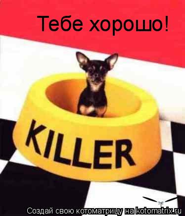 Тебе хорошо!... Котоматрица: Тебе хорошо!