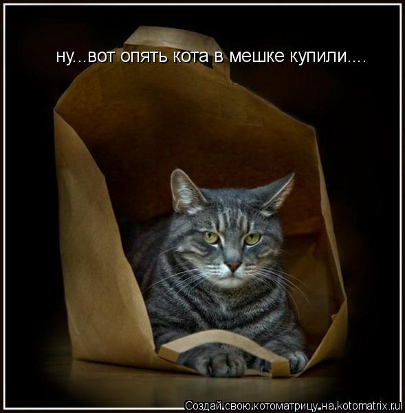 ну...вот опять кота в мешке купили....... Котоматрица: ну...вот опять кота в мешке купили....