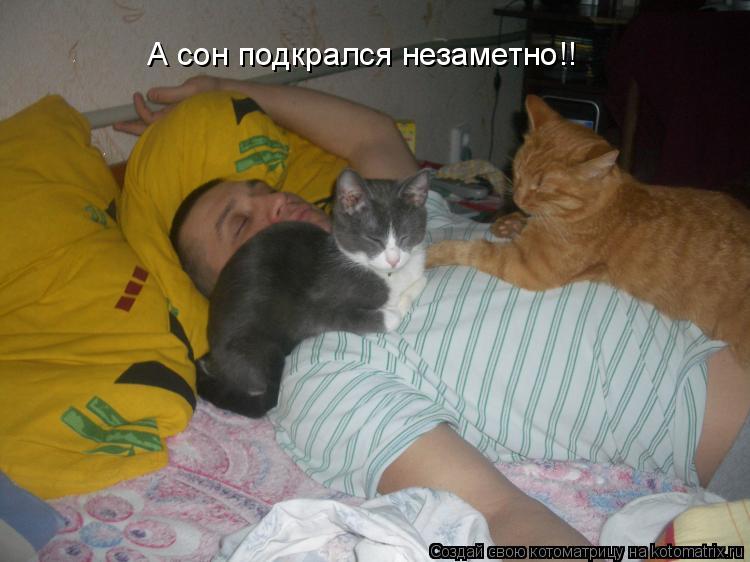 А сон подкрался незаметно!!... Котоматрица: А сон подкрался незаметно!!