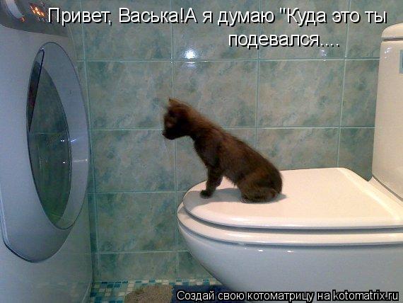 Привет, Васька!А я думаю "Куда это ты подевался....... Котоматрица: Привет, Васька!А я думаю "Куда это ты подевался....