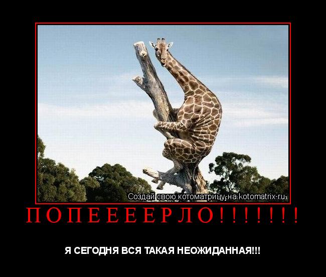 ПОПЁЁЁЁРЛО!!!!!!! Я СЕГОДНЯ ВСЯ ТАКАЯ НЕОЖИДАННАЯ!!!... Котоматрица: ПОПЁЁЁЁРЛО!!!!!!! Я СЕГОДНЯ ВСЯ ТАКАЯ НЕОЖИДАННАЯ!!!
