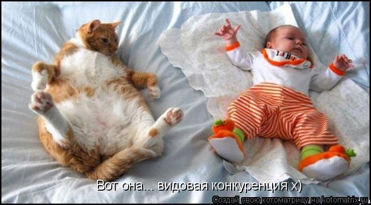 Вот она... видовая конкуренция х)... Котоматрица: Вот она... видовая конкуренция х)