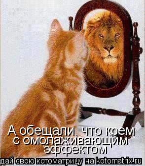 А обещали, что крем с омолаживающим эффектом... Котоматрица: А обещали, что крем с омолаживающим эффектом