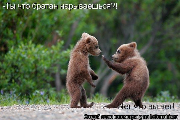 -Ты что братан нарываешься?! -Нет что вы нет!... Котоматрица: -Ты что братан нарываешься?! -Нет что вы нет!
