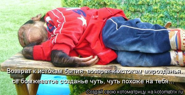 Возврат к истокам бытия, возврат к истокам мирозданья. се бомжеватое созданье чуть, чуть похоже на те... Котоматрица: Возврат к истокам бытия, возврат к истокам мирозданья. се бомжеватое созданье чуть, чуть похоже на тебя...
