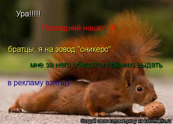 Ура!!!!! Последний нашёл!!!! братцы, я на зовод "сникерс" мне за него обещяли премию выдать в реклам... Котоматрица: Ура!!!!! Последний нашёл!!!! братцы, я на зовод "сникерс" мне за него обещяли премию выдать в рекламу взять))