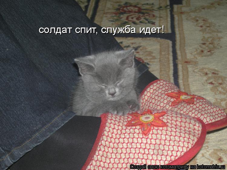 солдат спит, служба идет!... Котоматрица: солдат спит, служба идет!