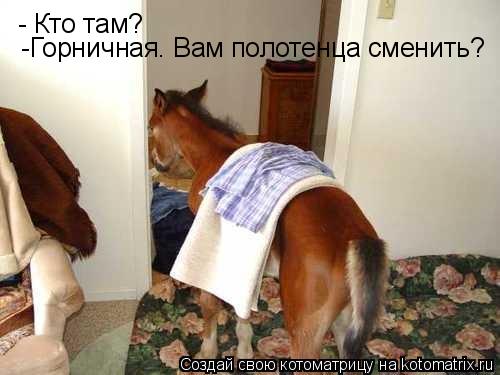 - Кто там? -Горничная. Вам полотенца сменить?... Котоматрица: - Кто там? -Горничная. Вам полотенца сменить?