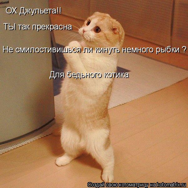 ОХ Джульета!! ТЫ так прекрасна Не смилостивишься ли кинуть немного рыбки ? Для бедьного котика... Котоматрица: ОХ Джульета!! ТЫ так прекрасна Не смилостивишься ли кинуть немного рыбки ? Для бедьного котика