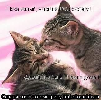Котоматрица: -Пока милый, я пошла на дискотеку!!! -Давай, что бы в 11 была дома!!!!