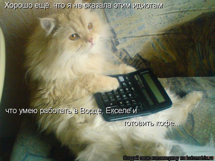 Хорошо ещё, что я не сказала этим идиотам что умею работать в Ворде, Екселе и готовить кофе...... Котоматрица: Хорошо ещё, что я не сказала этим идиотам что умею работать в Ворде, Екселе и готовить кофе...
