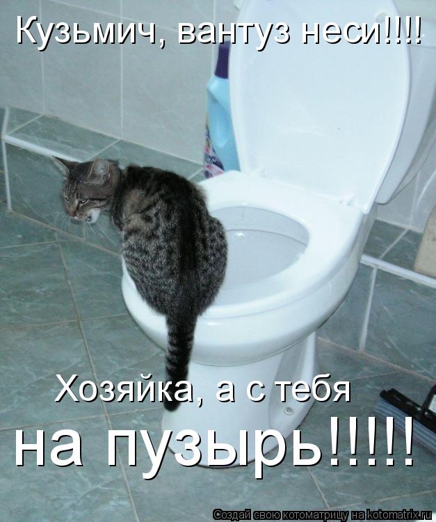 Котоматрица: Кузьмич, вантуз неси!!!! Хозяйка, а с тебя на пузырь!!!!!