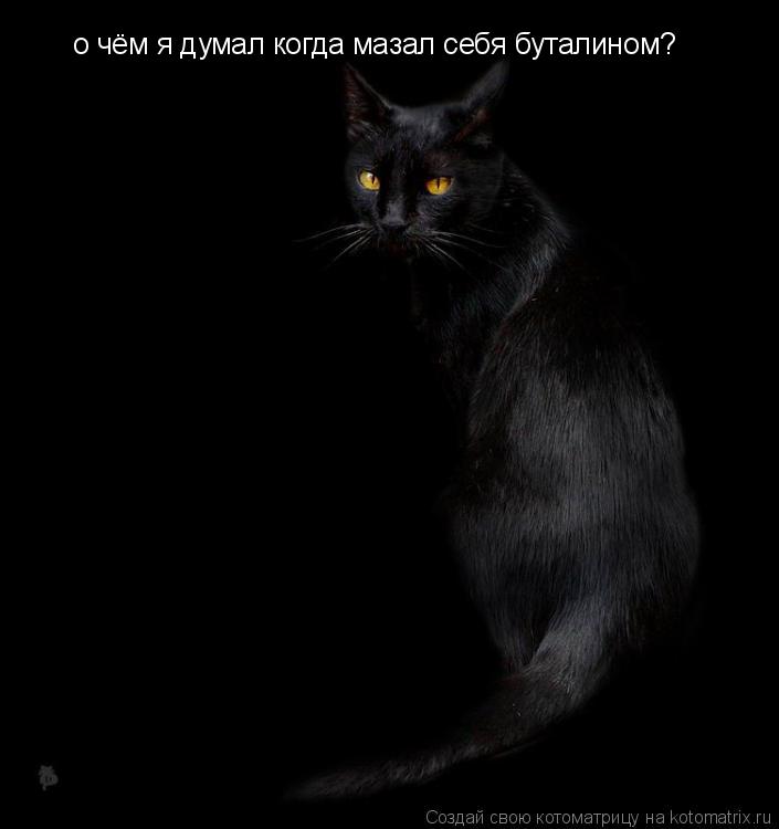 о чём я думал когда мазал себя буталином?... Котоматрица: о чём я думал когда мазал себя буталином?