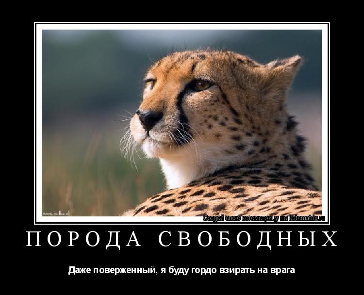 порода свободных Даже поверженный, я буду гордо взирать на врага... Котоматрица: порода свободных Даже поверженный, я буду гордо взирать на врага