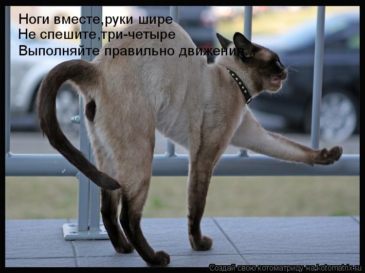Ноги вместе,руки шире Не спешите,три-четыре Выполняйте правильно движения...... Котоматрица: Ноги вместе,руки шире Не спешите,три-четыре Выполняйте правильно движения...