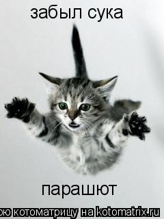 забыл сука парашют... Котоматрица: забыл сука парашют