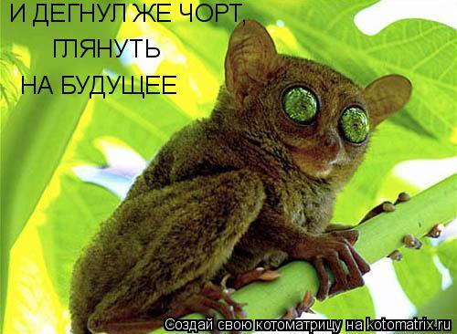 И ДЕГНУЛ ЖЕ ЧОРТ, ГЛЯНУТЬ НА БУДУЩЕЕ... Котоматрица: И ДЕГНУЛ ЖЕ ЧОРТ, ГЛЯНУТЬ НА БУДУЩЕЕ