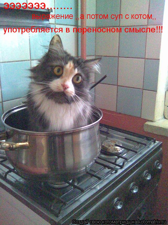 эээээээ........ выражение ,,а потом суп с котом,, употребляется в переносном смысле!!!... Котоматрица: эээээээ........ выражение ,,а потом суп с котом,, употребляется в переносном смысле!!!